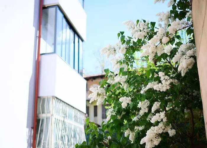 Apartment Old Town Oasis - Ap 6 *